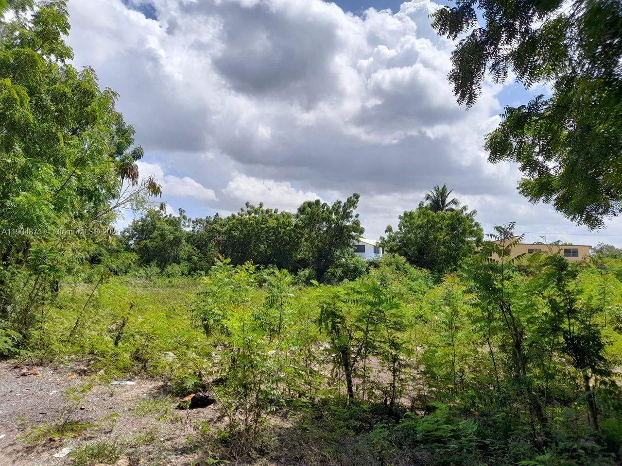 Autovia del Este Autoria Del Este