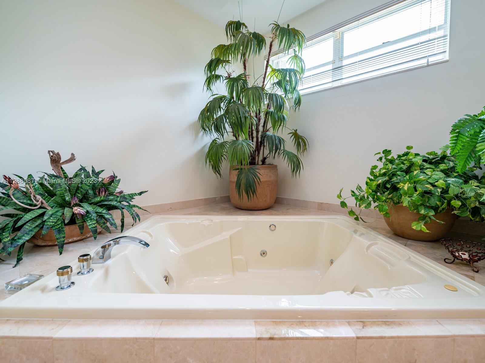 SHEAR GROVES - Residential