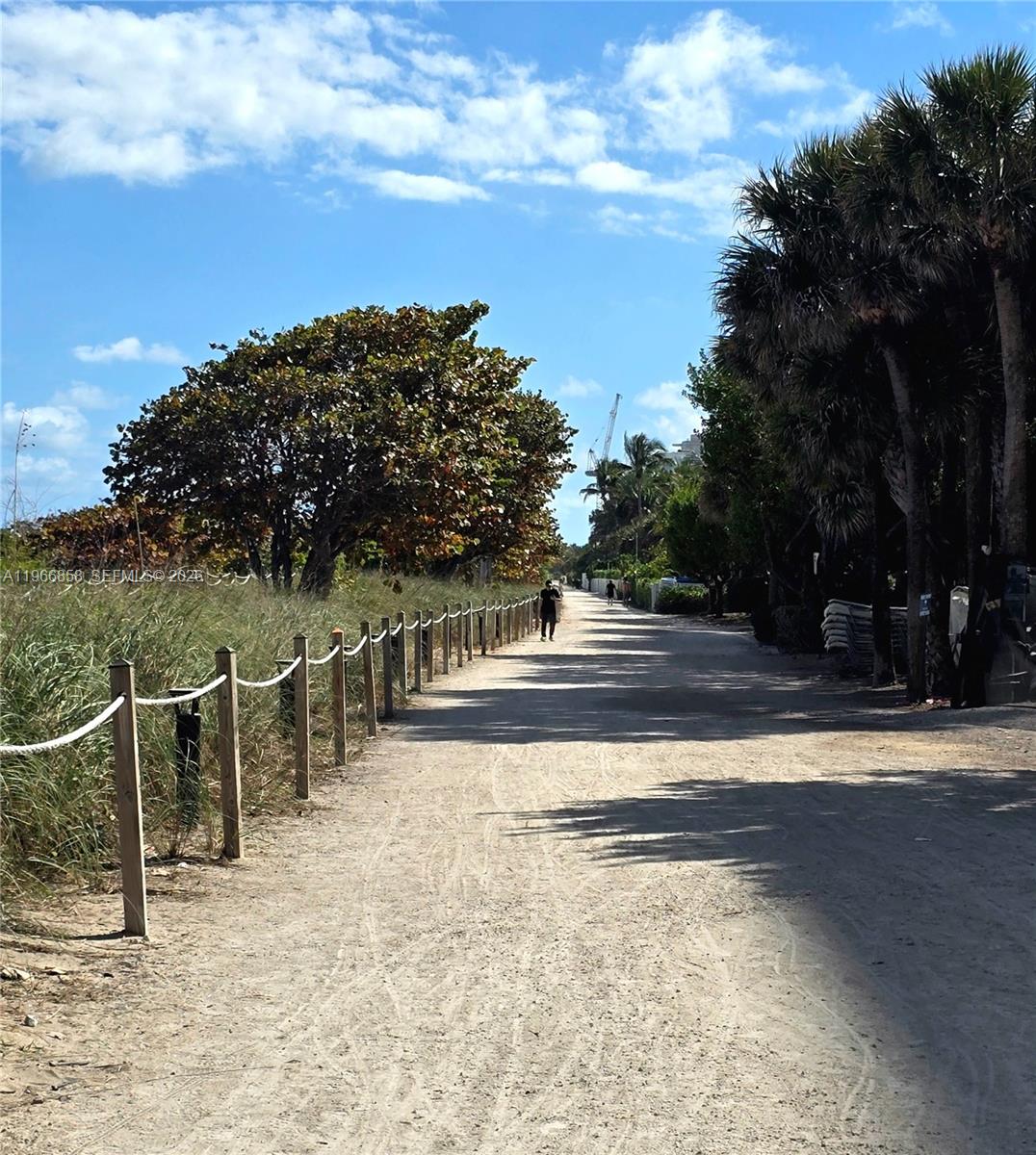 10175 Collins Ave 208