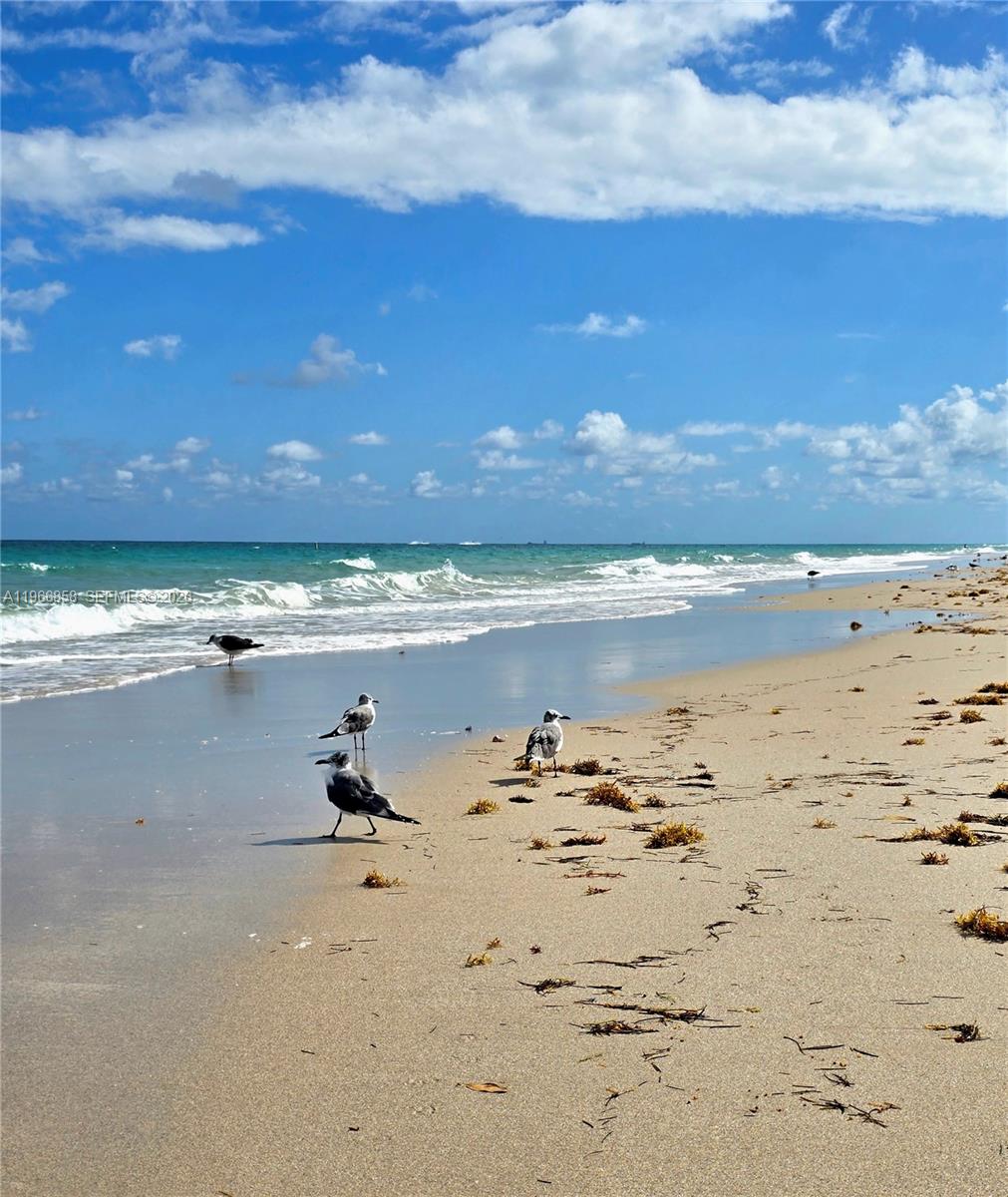 THE TIFFANY OF BAL HARBOUR - Residential Lease