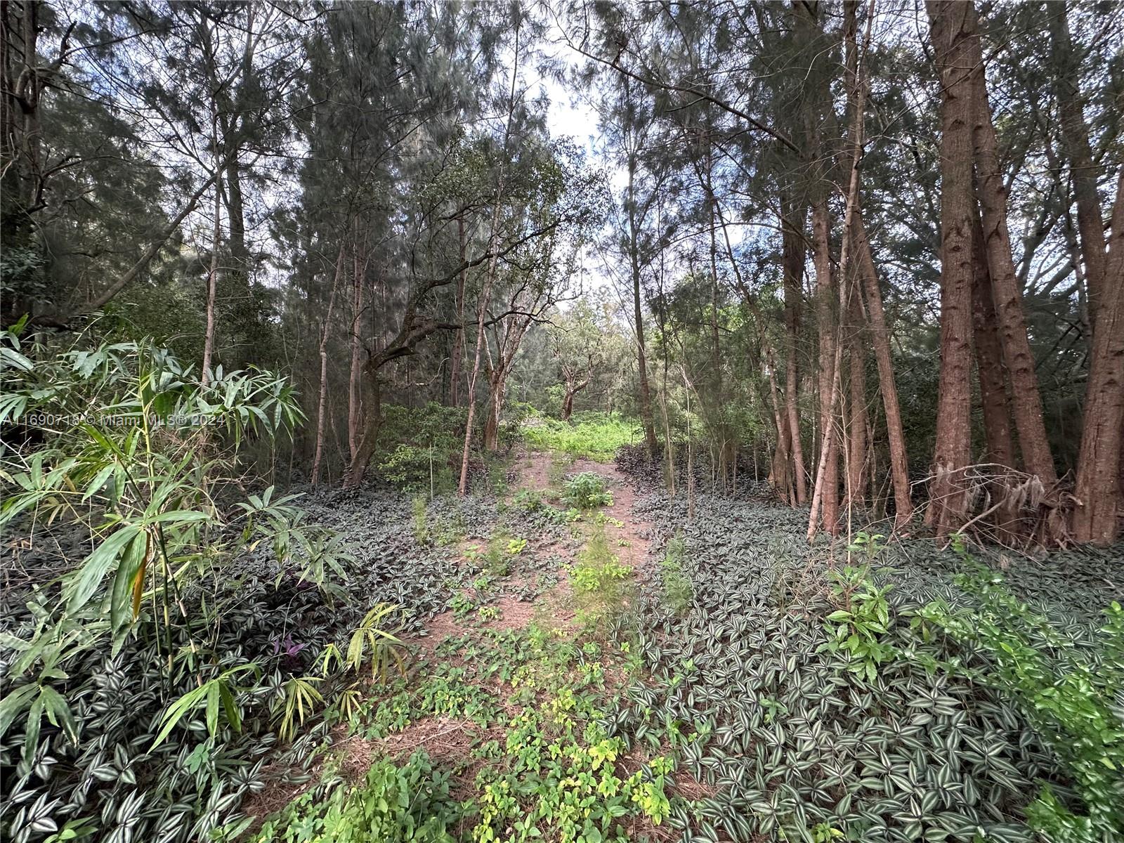 NEWMANS SURVEY - Land