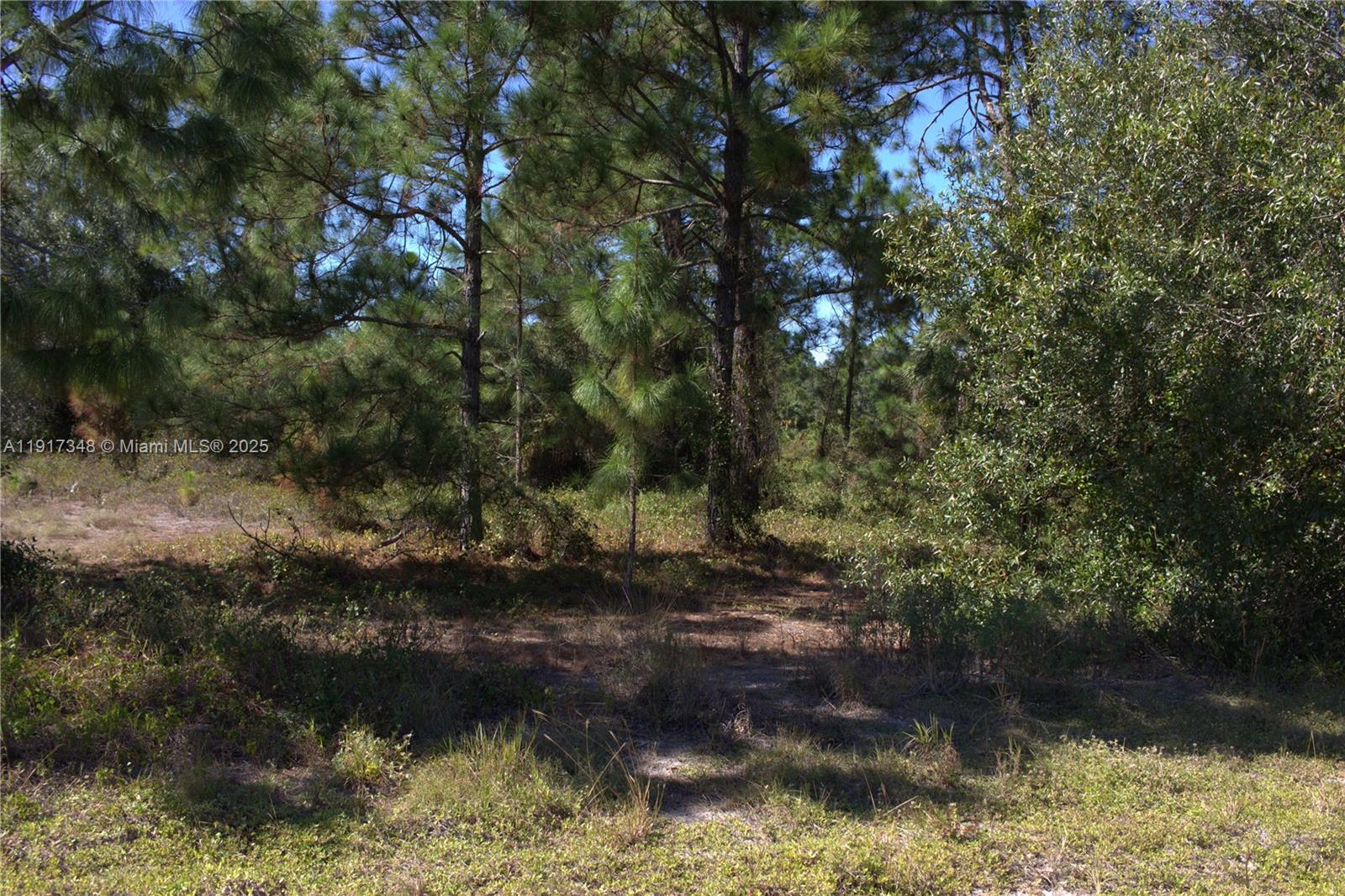 Lee County Unincorporated - Land