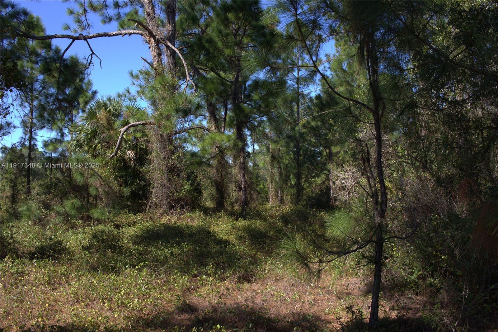 Lee County Unincorporated - Land