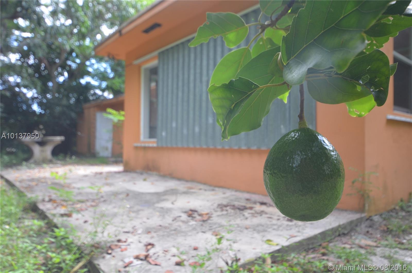 Cambria Heights - Residential