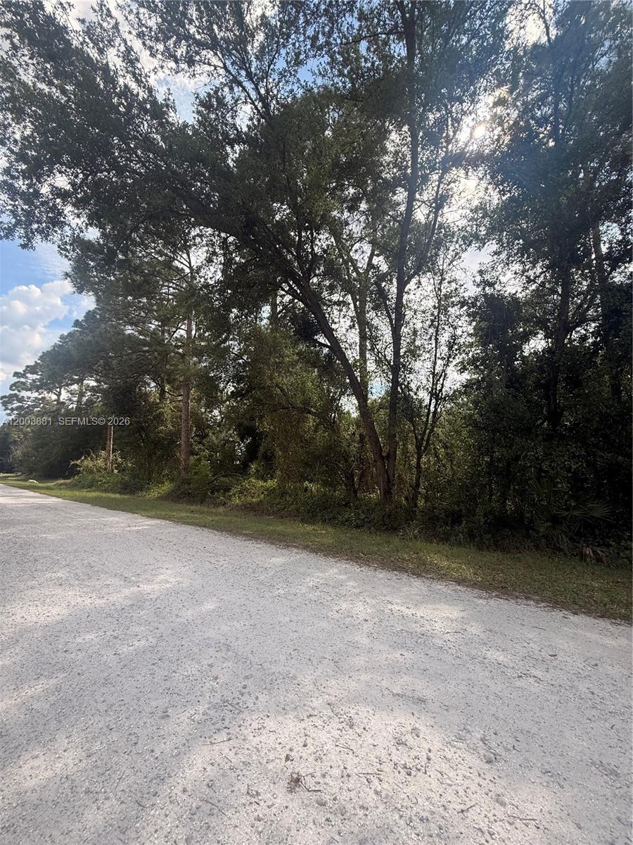 Montura Ranch - Land