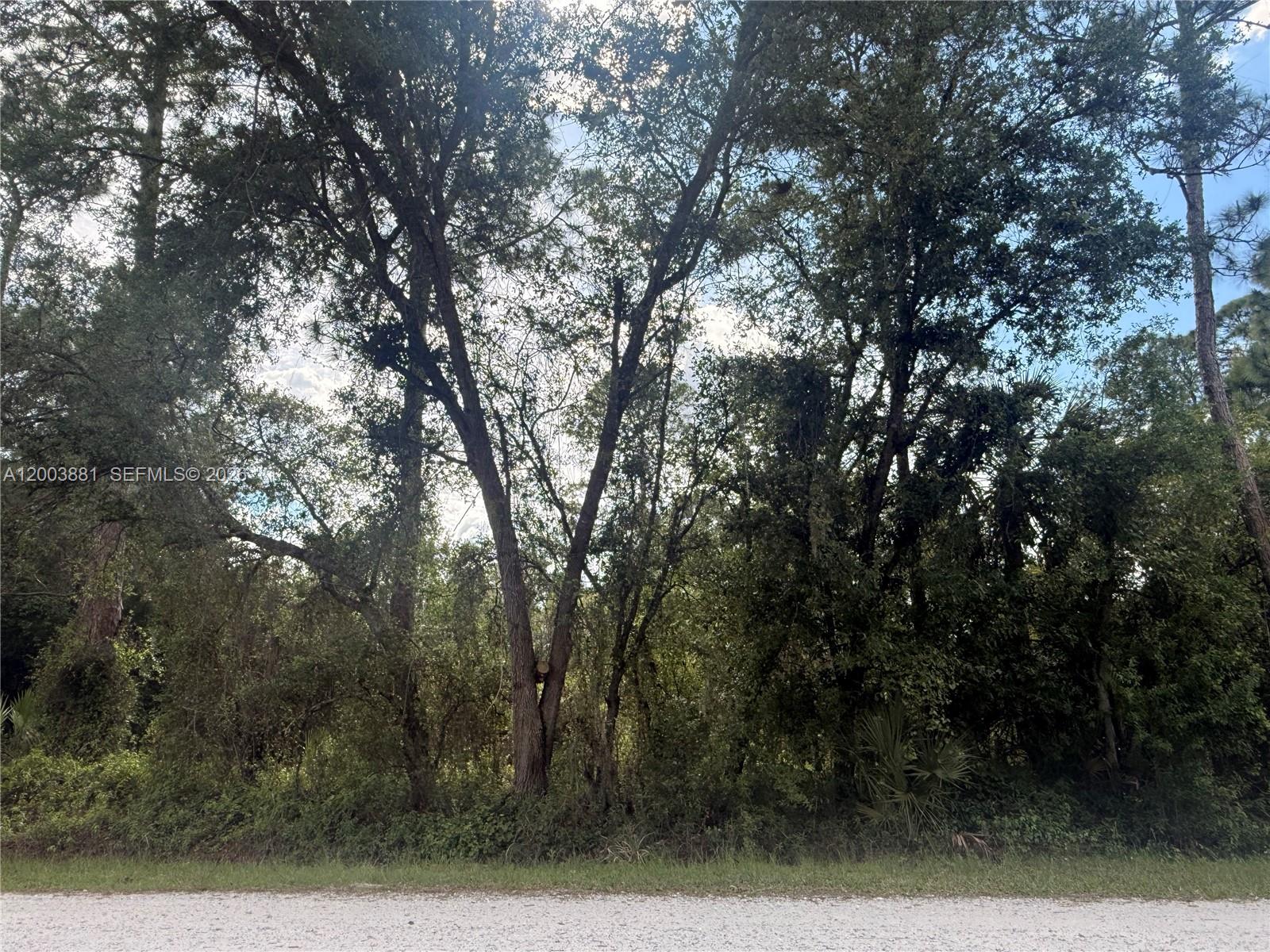 Montura Ranch - Land