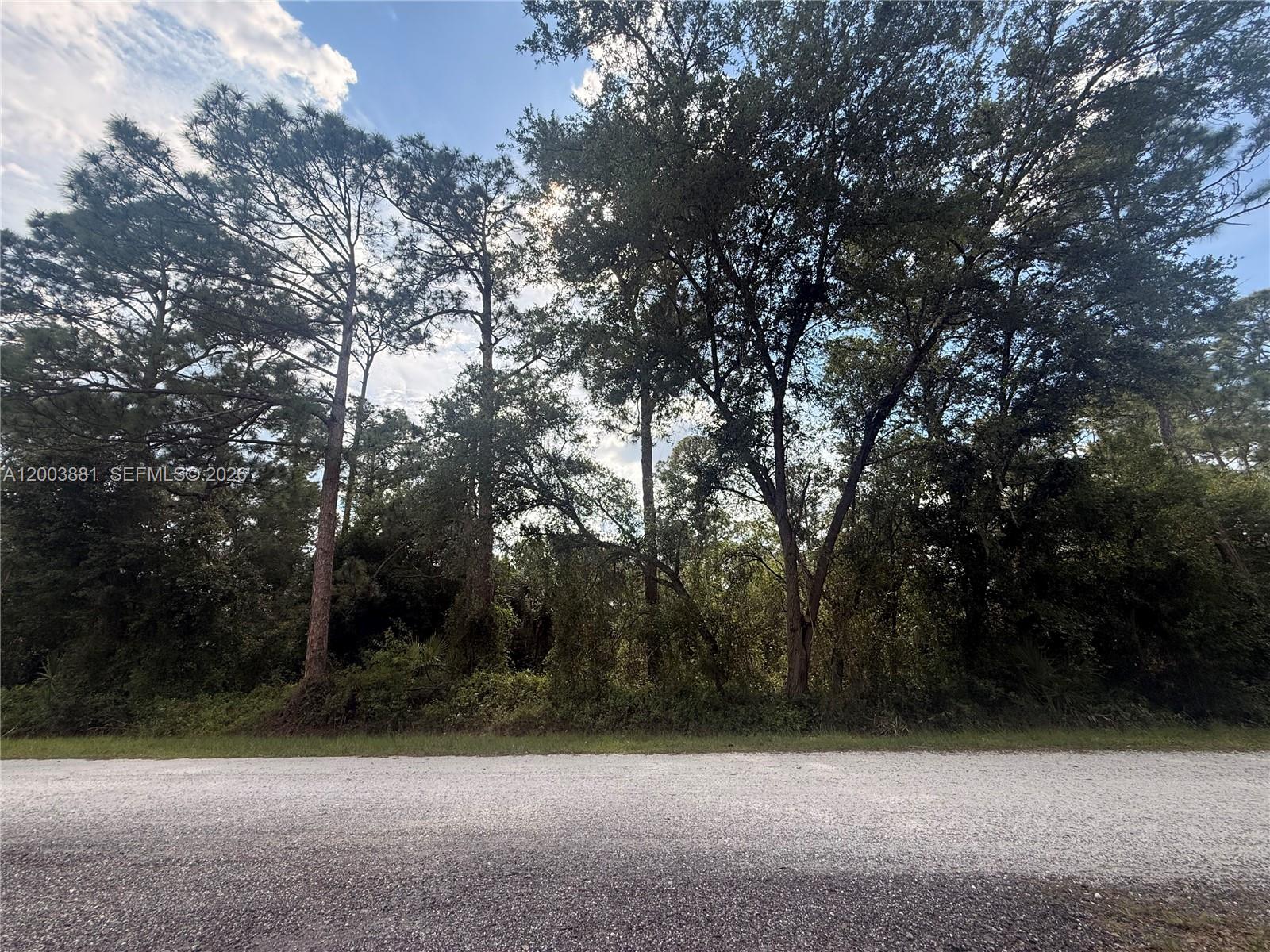 Montura Ranch - Land