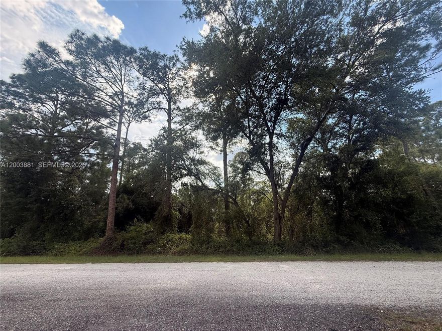 Great opportunity to own 1.25 acres in Montura Ranch Estates. This spacious lot is located in a no flood zone, offering peace of mind. Perfect for building your dream home or investing in a growing area. Enjoy quiet rural living with plenty of space for outdoor activities, animals, or future development. Conveniently located with easy access to nearby towns while still maintaining privacy and open space. Key Features: 1.25 Acres, No Flood Zone, Buildable Lot, Growing Area, Great Investment Opportunity. Don’t miss this chance to own land in Montura Ranches!