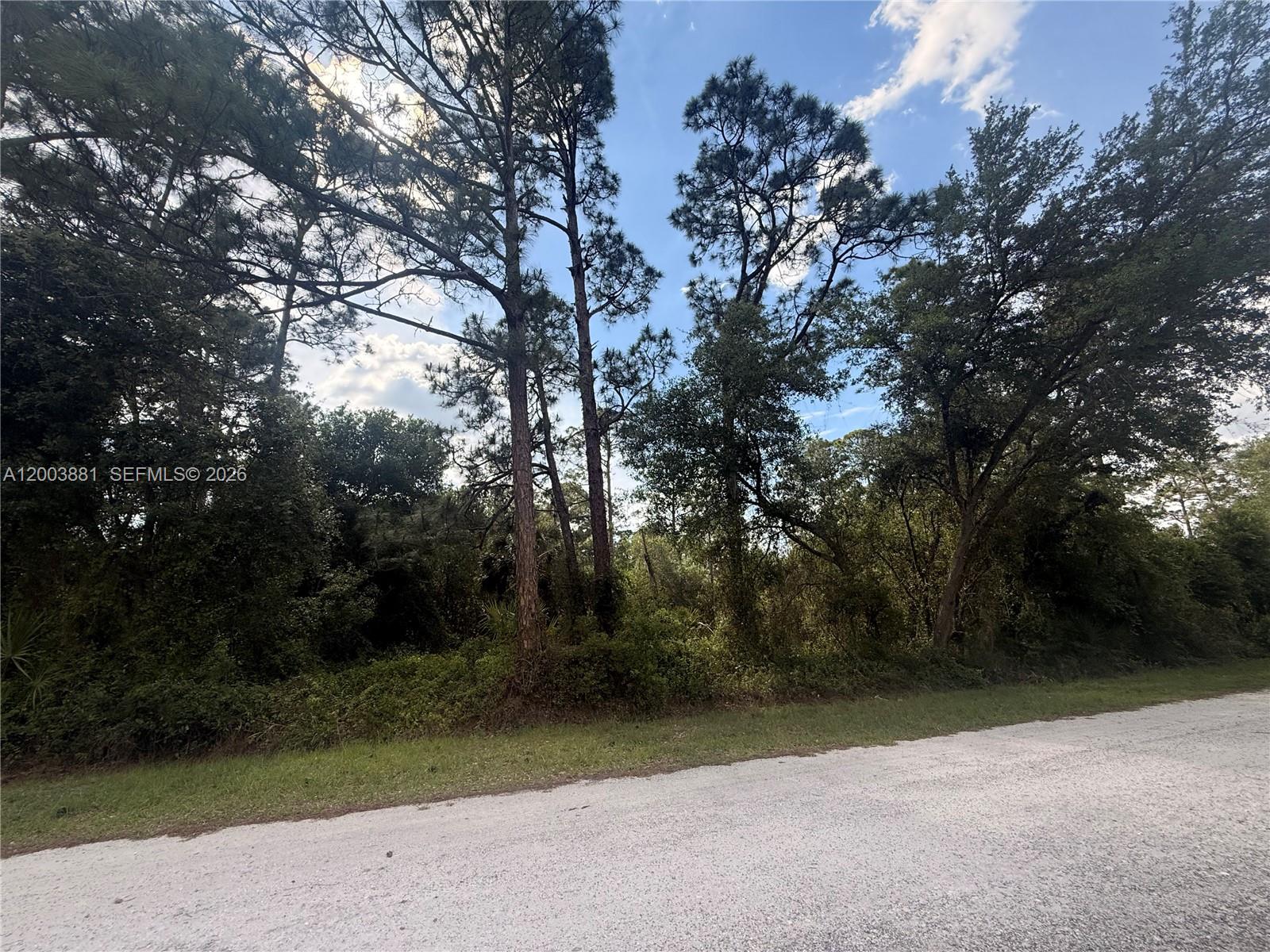 Montura Ranch - Land