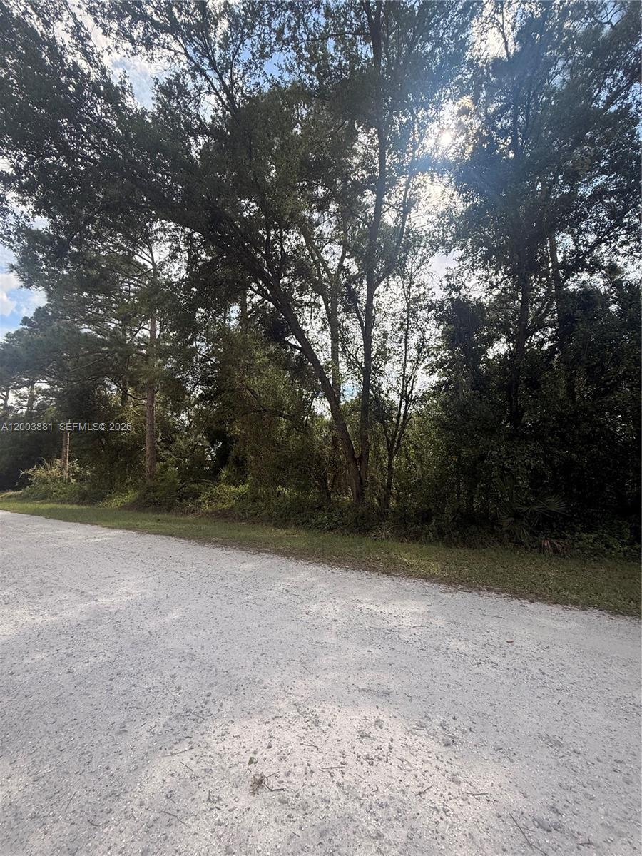 Montura Ranch - Land