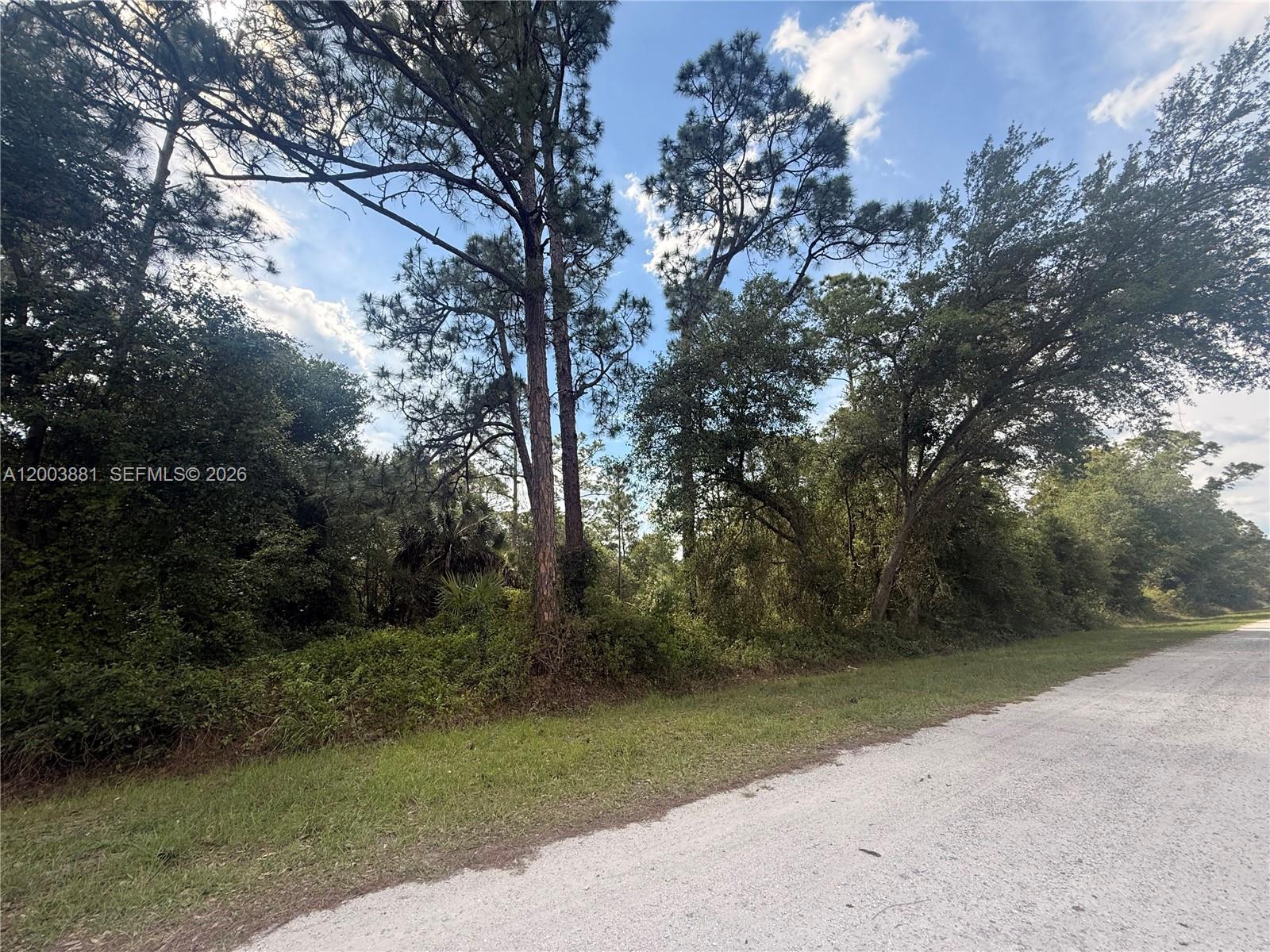 Montura Ranch - Land