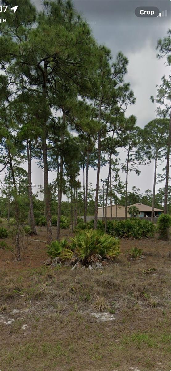 Prime vacant land opportunity in Lehigh Acres! This spacious lot at 1210 Highland Ave, Lehigh Acres, FL 33972, is perfect for investors, builders, or those looking to build their dream home. Located in a growing area with easy access to shopping, dining, schools, and major roadways. Enjoy the peaceful surroundings while still being close to all amenities. No HOA or deed restrictions. Buyer to verify all utilities and land use regulations.