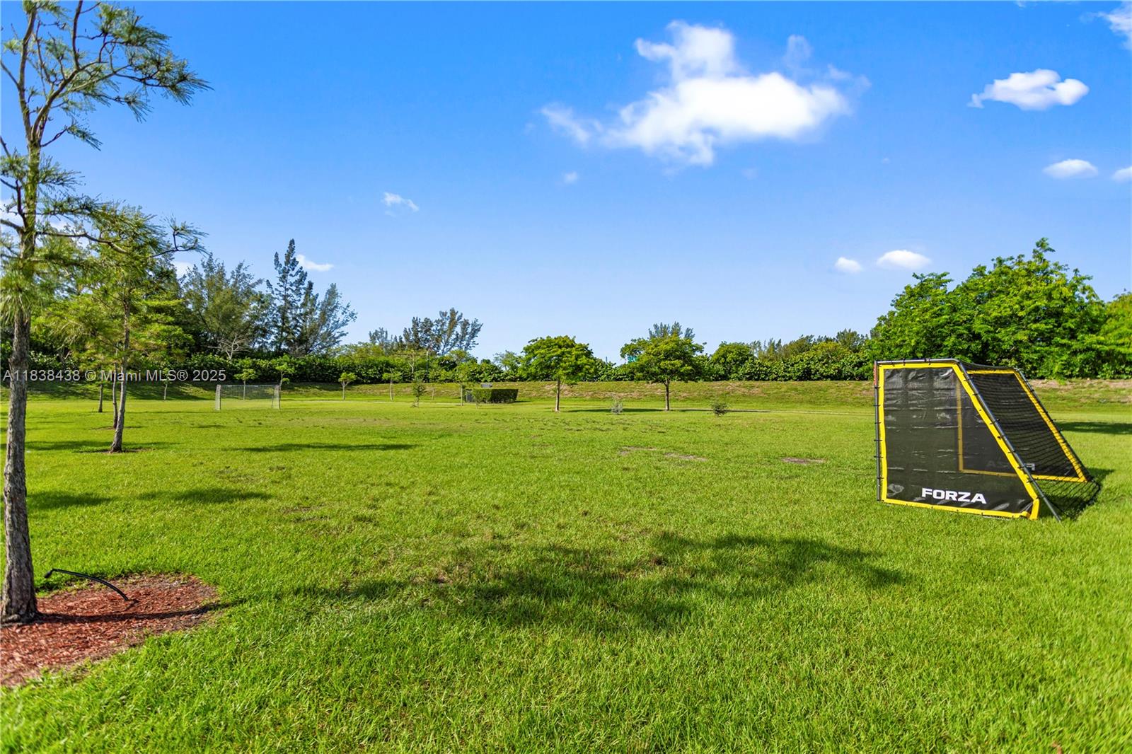 CHAMPION LAKES - Residential