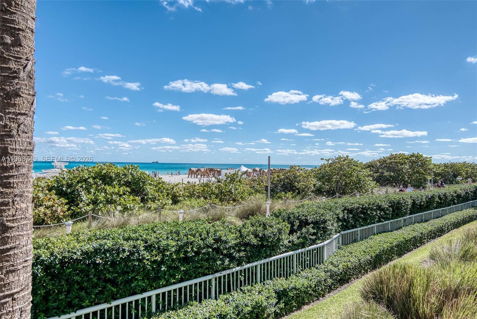 THE CARIBBEAN CONDO - Residential Lease