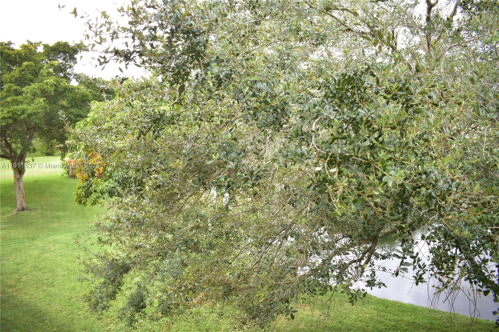 SUNRISE LAKES 95 CONDO - Residential