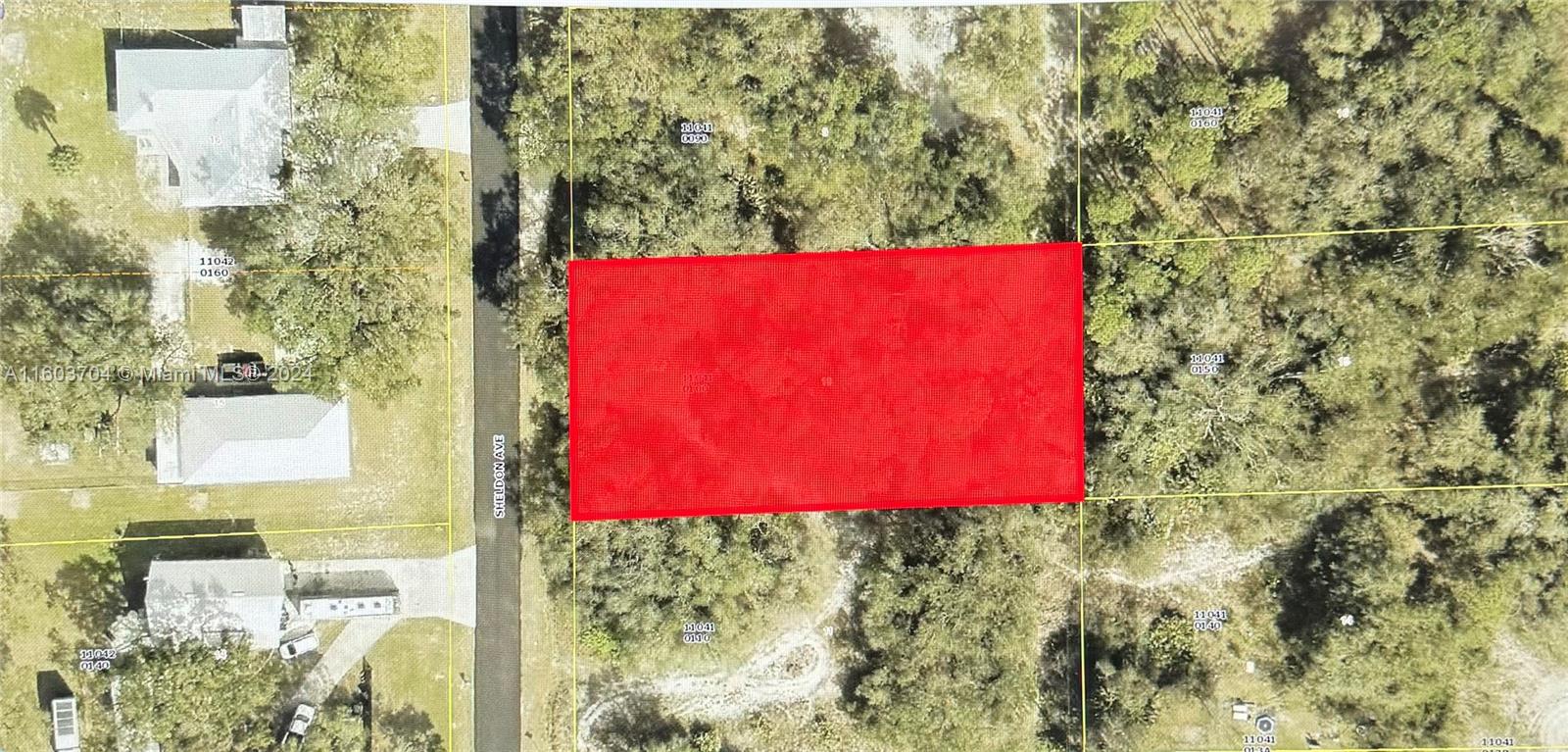 LEHIGH ACRES - Land