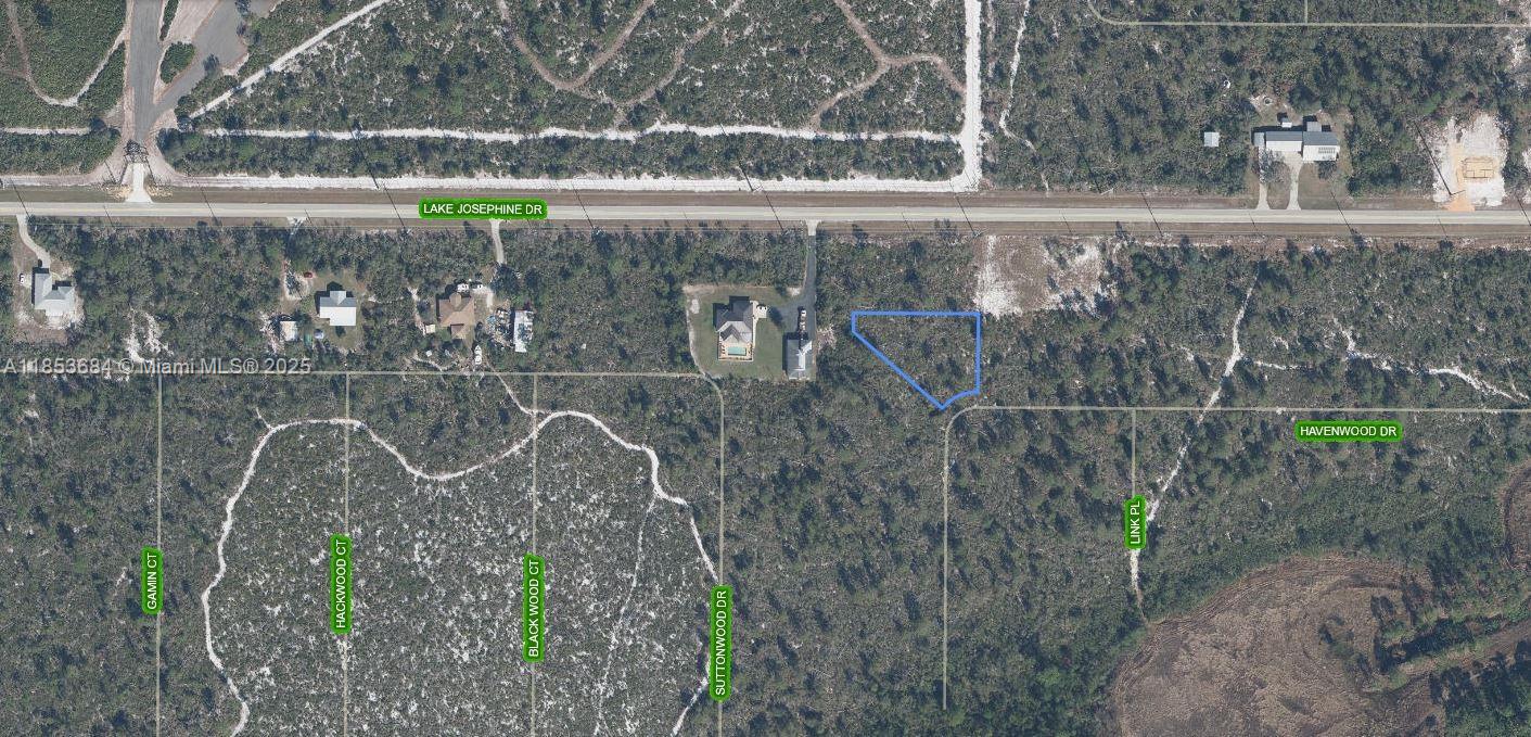 OWNER WILL FINANCE!!! 3,000 DOWN 243.93 PER MONTH FOR 36 MONTHS AT 7% INTEREST. Multi-Family/Single-Family Lot! Orange Blossom community of Sebring here is one beautiful, private, quiet, peaceful, wooded area lot to build your DREAM HOME. Close to Lake Josephine which is ideal for watersports, including boating, fishing, and waterskiing. Power is one lot away. Lot Size is irregular pie shaped approximately 17,000 sq.ft Get in early for this great investment! Perfect location for your DREAM HOME!