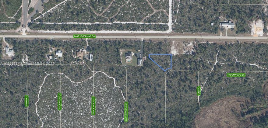 OWNER WILL FINANCE!!! 3,000 DOWN 243.93 PER MONTH FOR 36 MONTHS AT 7% INTEREST. Multi-Family/Single-Family Lot! Orange Blossom community of Sebring here is one beautiful, private, quiet, peaceful, wooded area lot to build your DREAM HOME. Close to Lake Josephine which is ideal for watersports, including boating, fishing, and waterskiing. Power is one lot away. Lot Size is irregular pie shaped approximately 17,000 sq.ft Get in early for this great investment! Perfect location for your DREAM HOME!