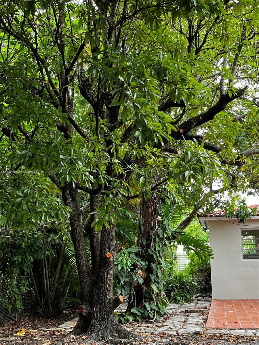 CORAL GATE SEC A - Residential Lease