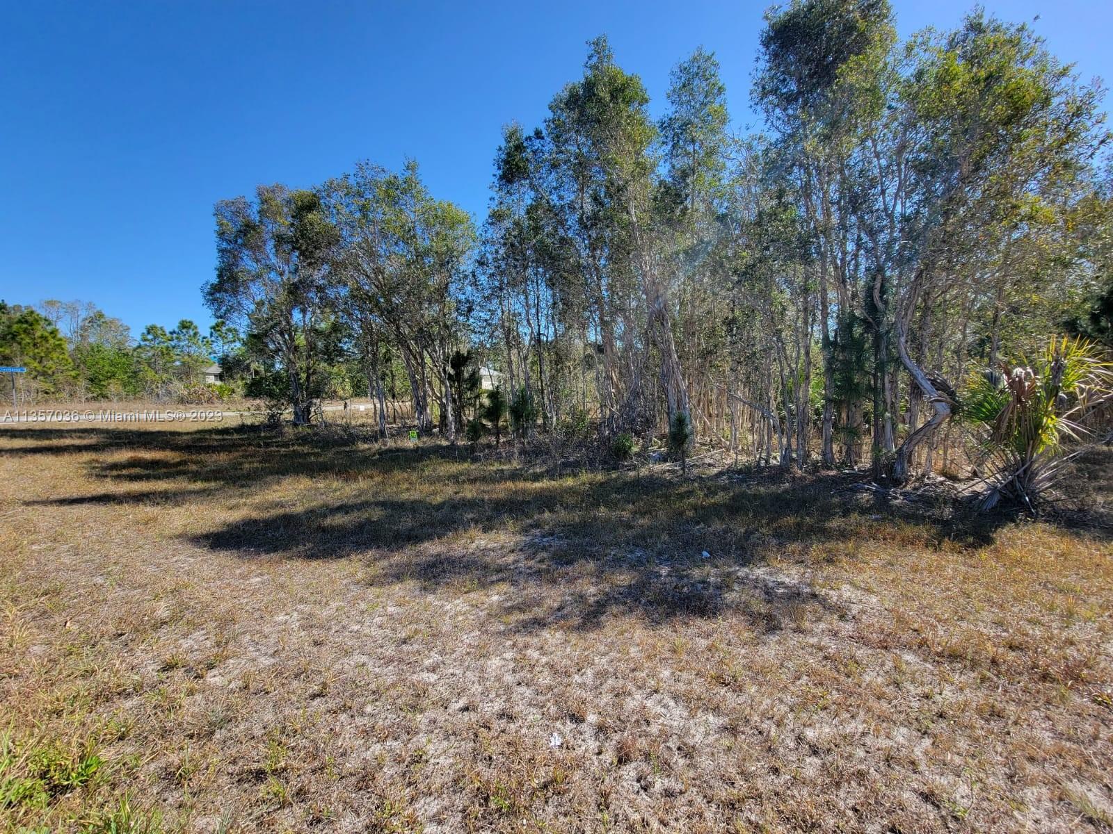 Photo 7 of 11 of 1010 Cresthaven St land