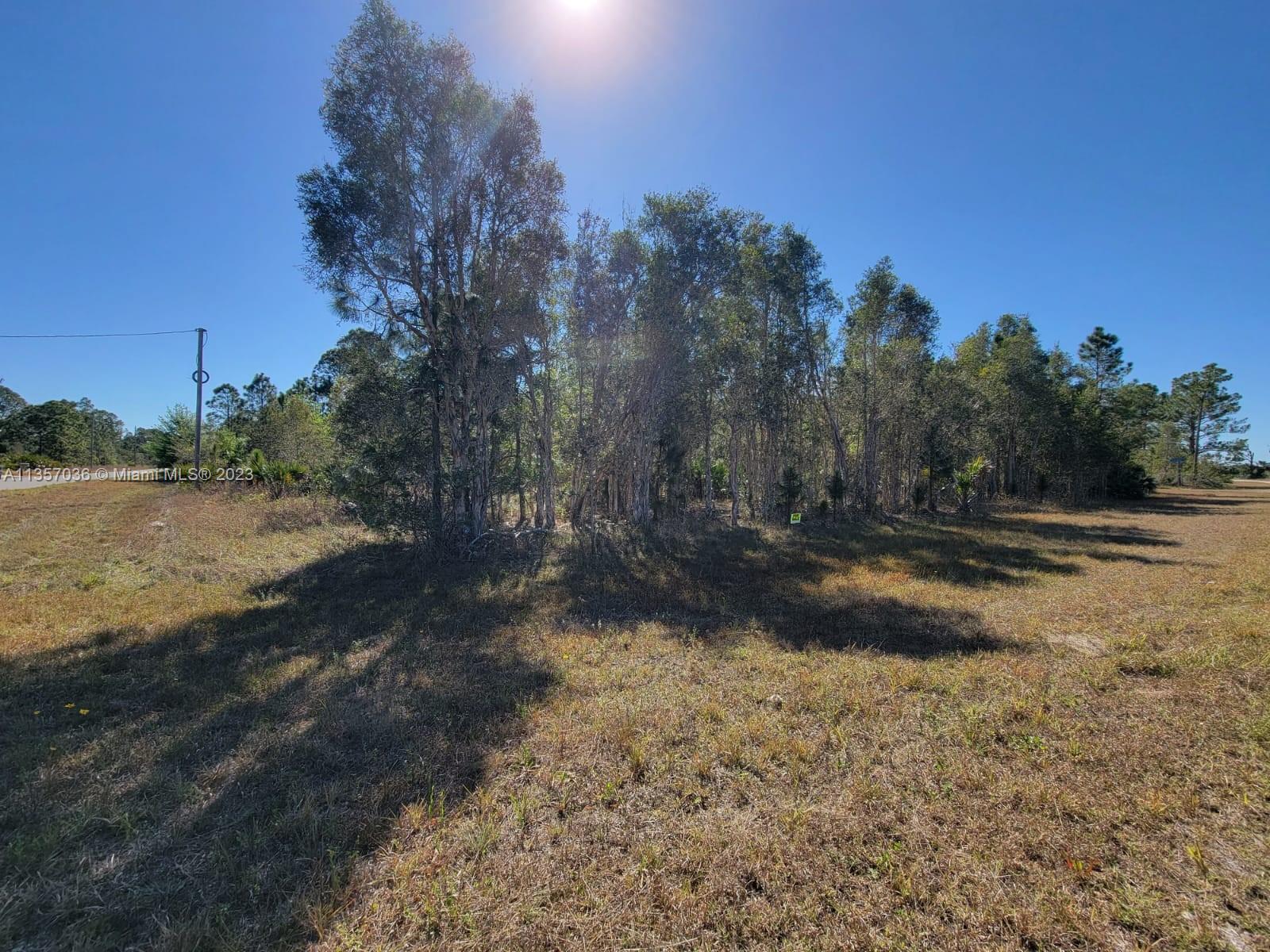 Photo 1 of 11 of 1010 Cresthaven St land