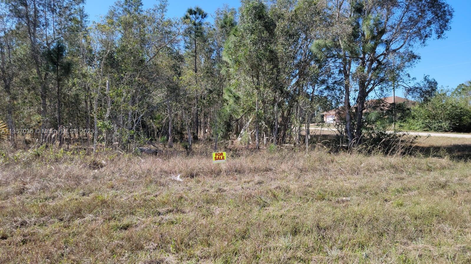 Photo 6 of 11 of 1010 Cresthaven St land