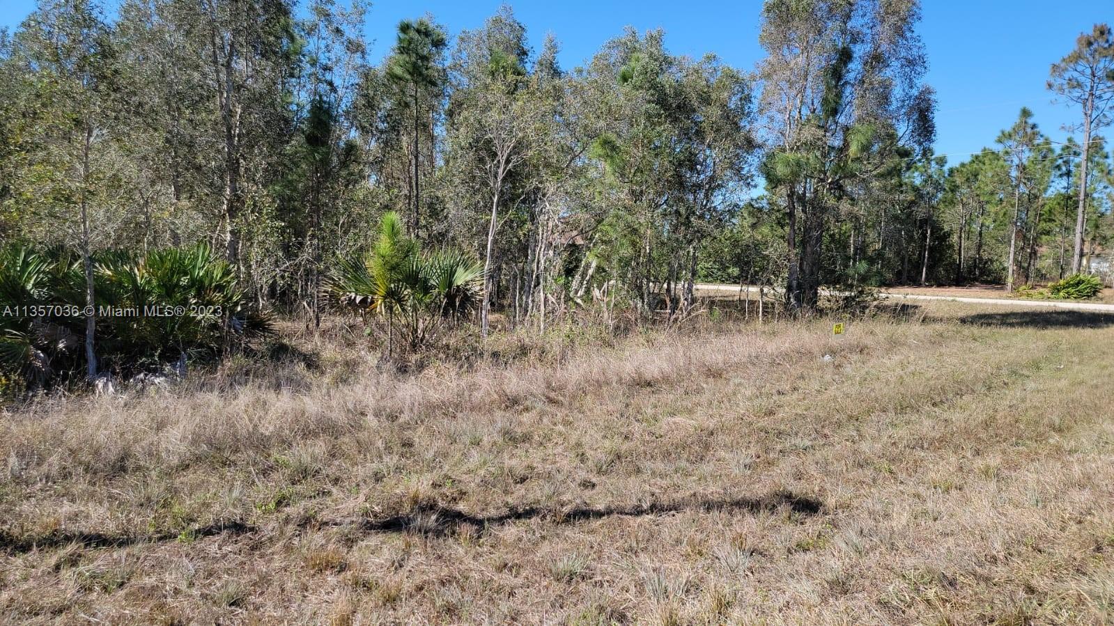 Photo 5 of 11 of 1010 Cresthaven St land