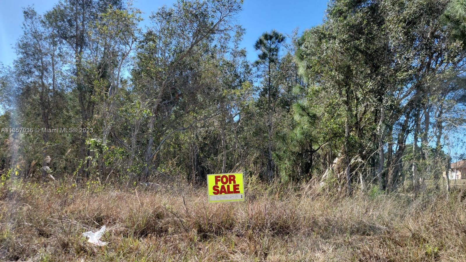 Photo 9 of 11 of 1010 Cresthaven St land