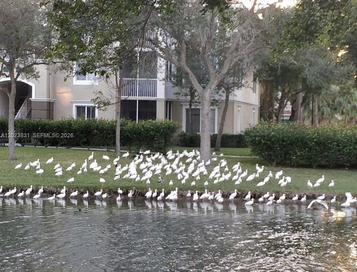 PALMS POINT CONDO - Residential Lease