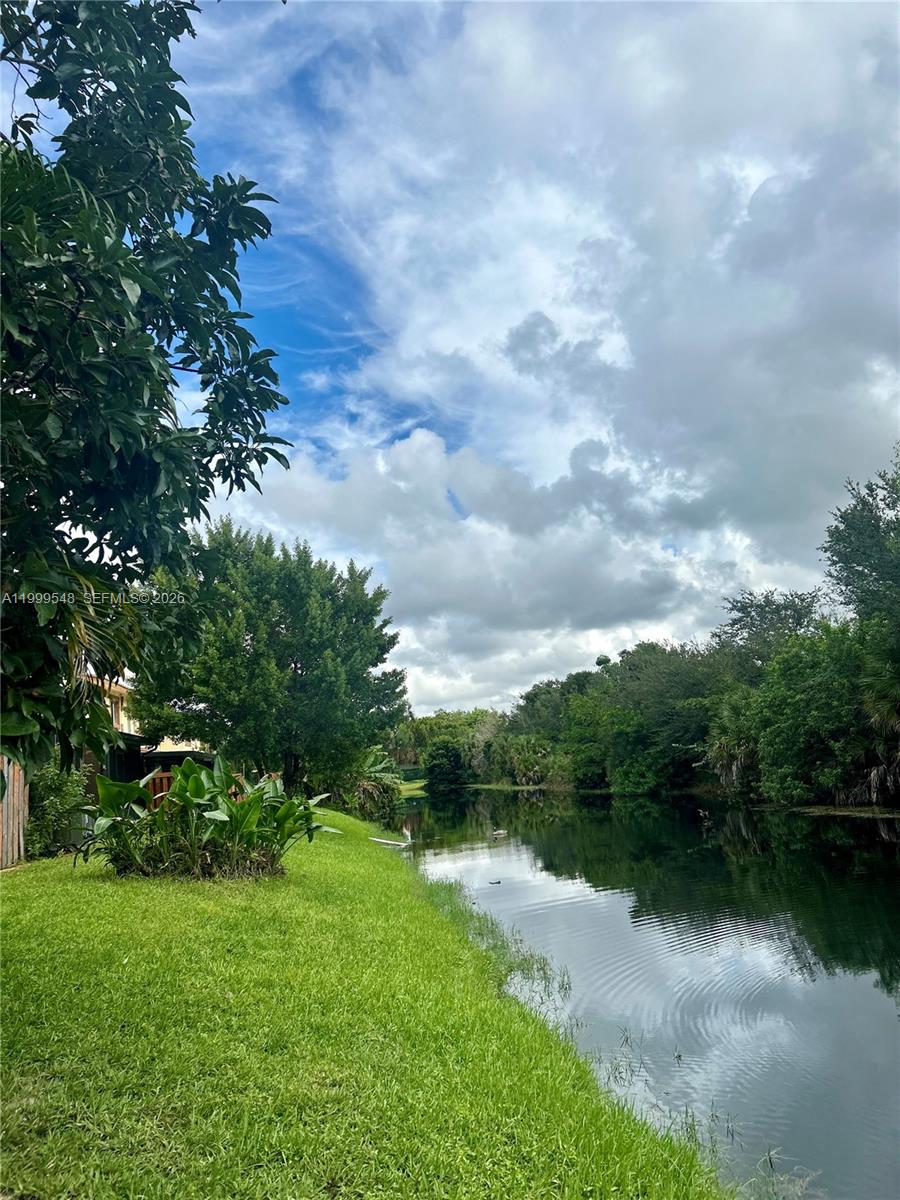 SPRING TREE - Residential