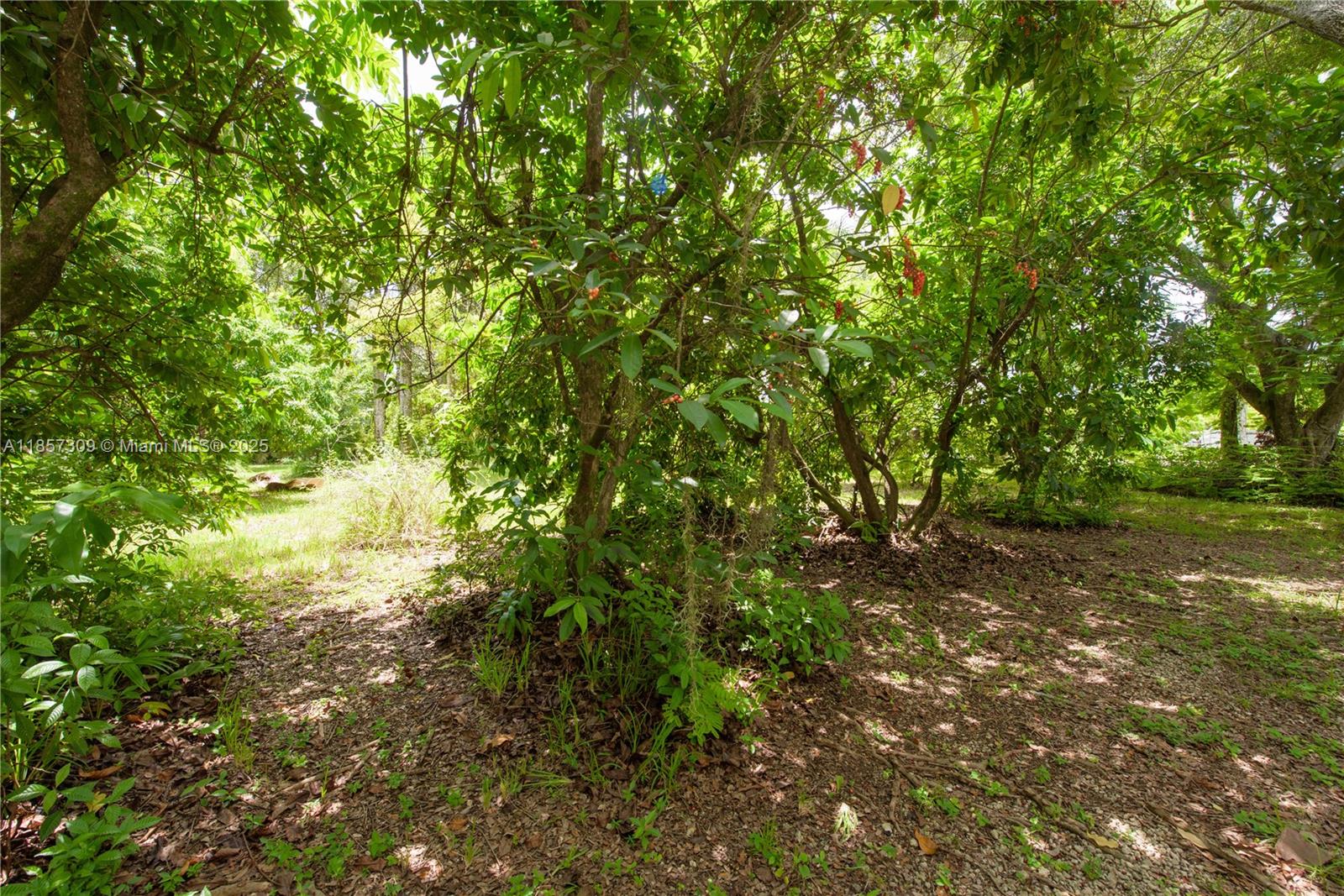 Redlands - Residential