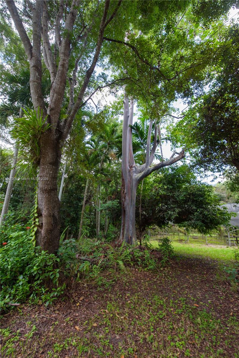 Redlands - Residential