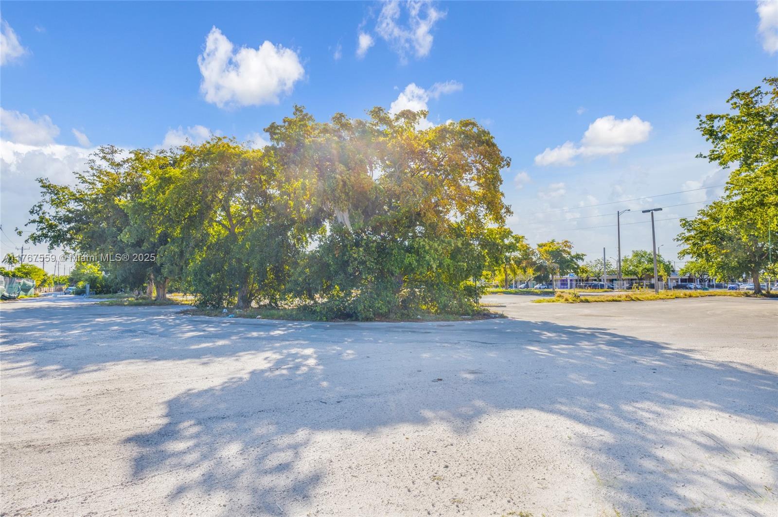 FIRST FEDERAL LAUDERDALE - Land