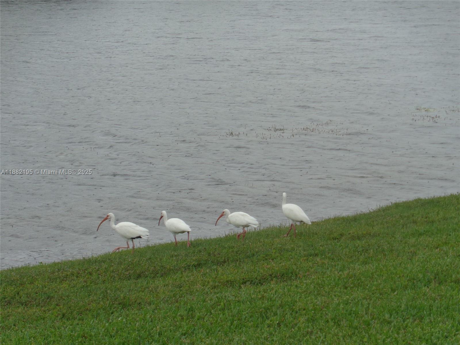 PLYMOUTH  AT CENTURY VILLA - Residential