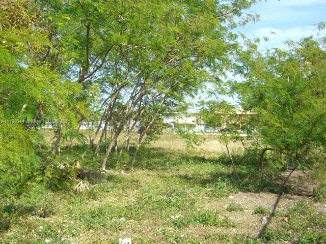 BISCAYNE FEDERAL SUB - Land