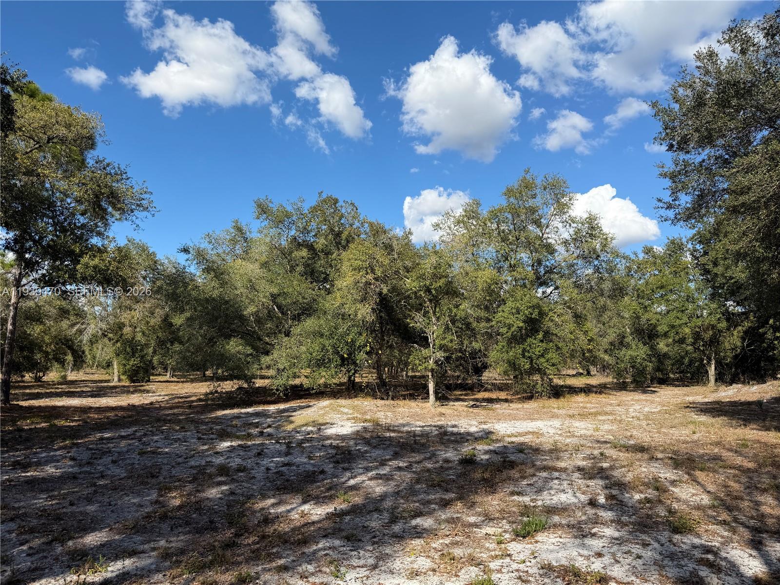 DENNIS S/D UNREC - Land