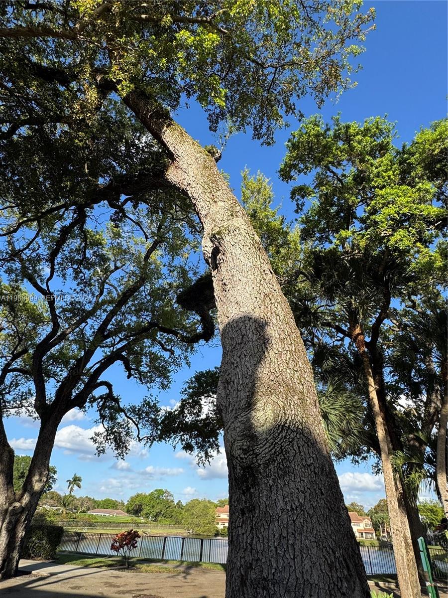 EMERALD OAKS 24 CONDO - Residential