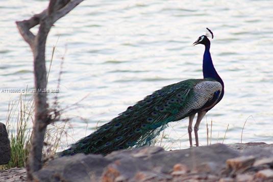 HUGHES COVE - Residential