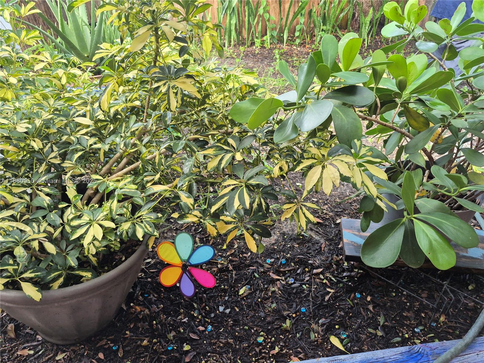 JACARANDA HEIGHTS - Residential Lease