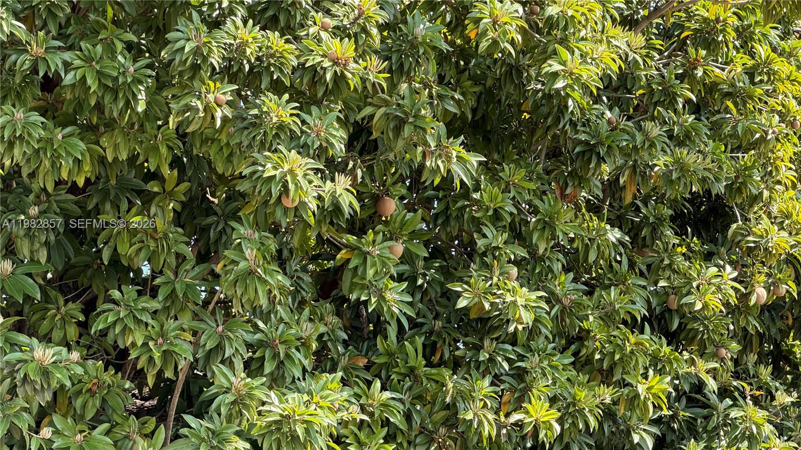 4TH AVENUE EXTENSION TO H - Residential