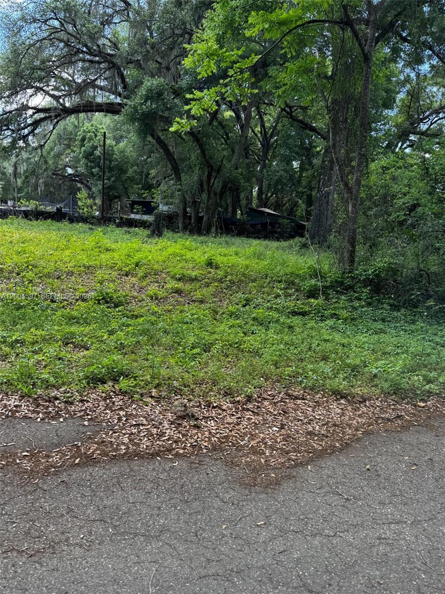 OCALA PARK ESTATE - Land