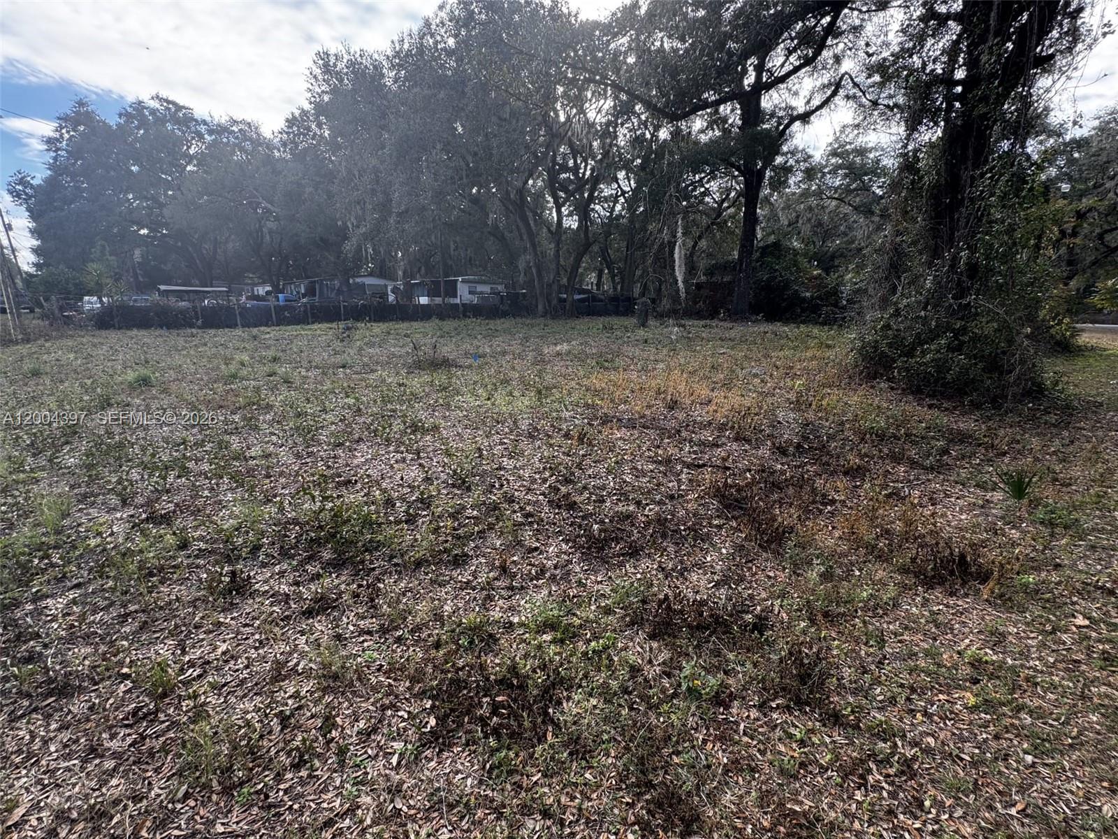 OCALA PARK ESTATE - Land