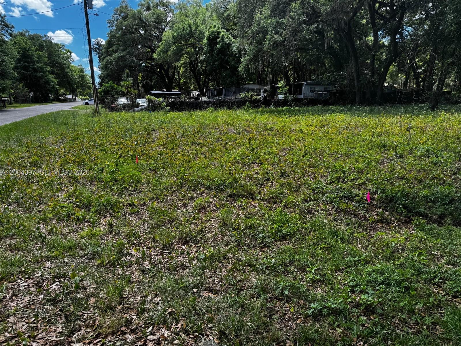 OCALA PARK ESTATE - Land