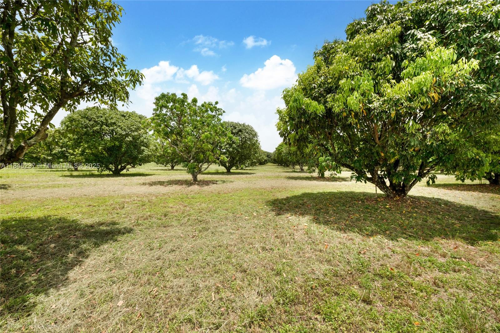 Spacious 5-acre parcel of vacant land ideally located on SW 206 Street, with frontage between SW 137th Avenue and SW 139th Avenue. Zoned agricultural, this expansive property offers excellent potential for farming, nursery operations, or future development. Enjoy easy access to major roads while still benefiting from a peaceful, rural setting. Great investment opportunity in a growing area of Miami-Dade County.