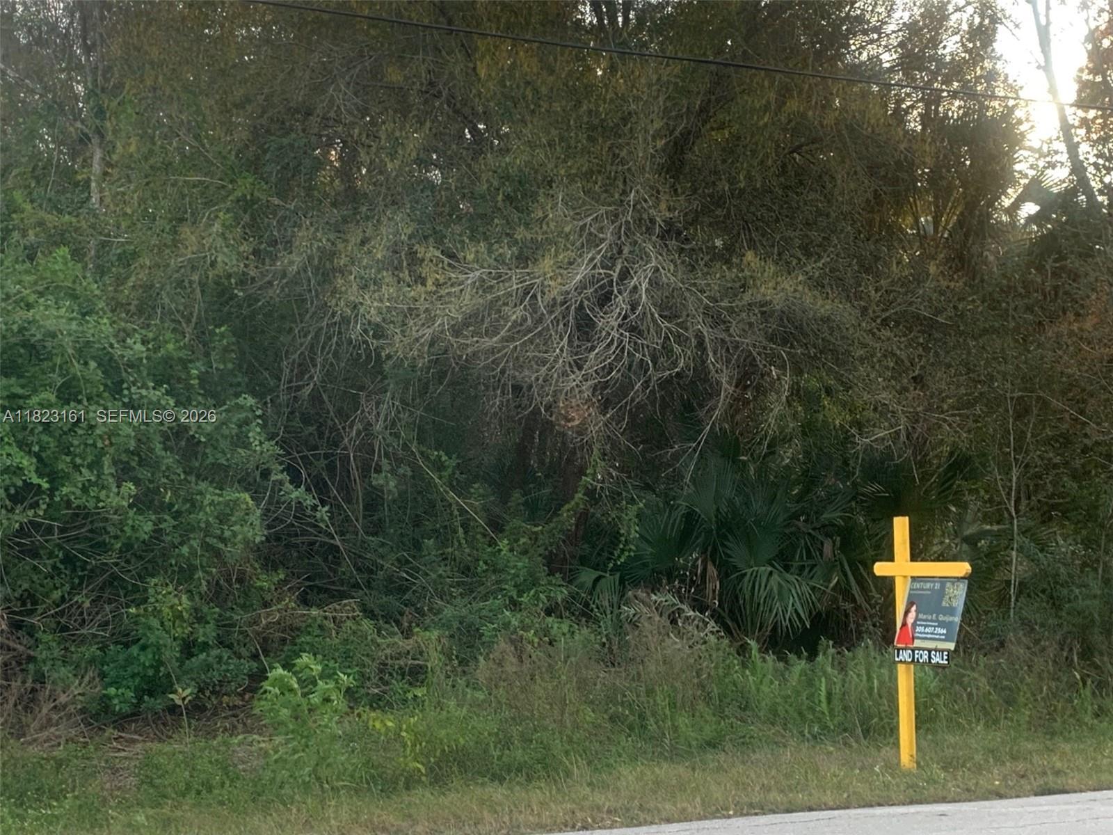 Golden Gate Estates Unit - Land