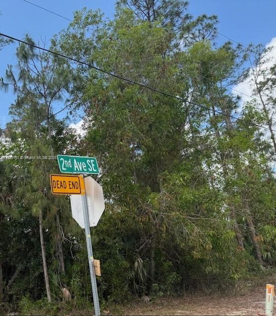 Great opportunity to build your dream home at Golden Gate Estates in Naples, Florida, in a lot size of 1.14 acres. Located in a well established neighborhood, No HOA. It is located in a rapidly growing area with new homes being built near by.
