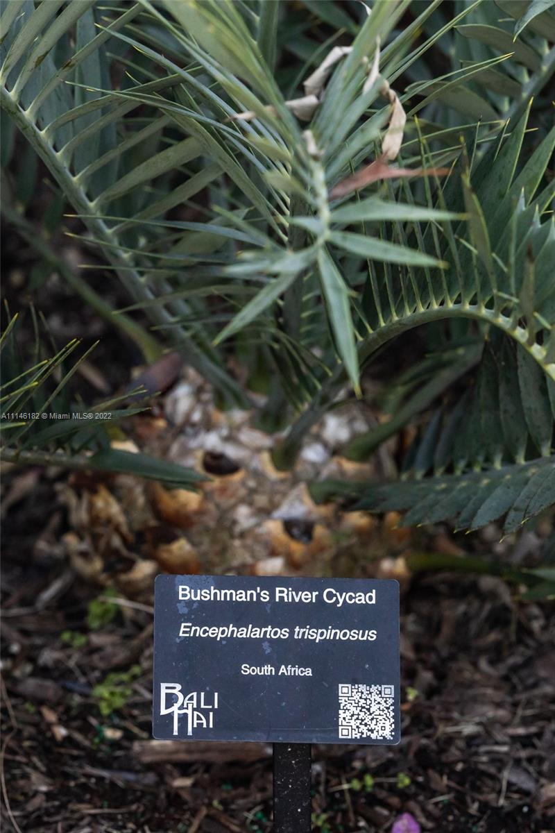 Misc. Plantation Key - Residential