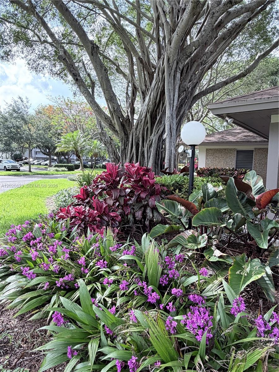 NO 60 PALM-AIRE COUNTRY C - Residential