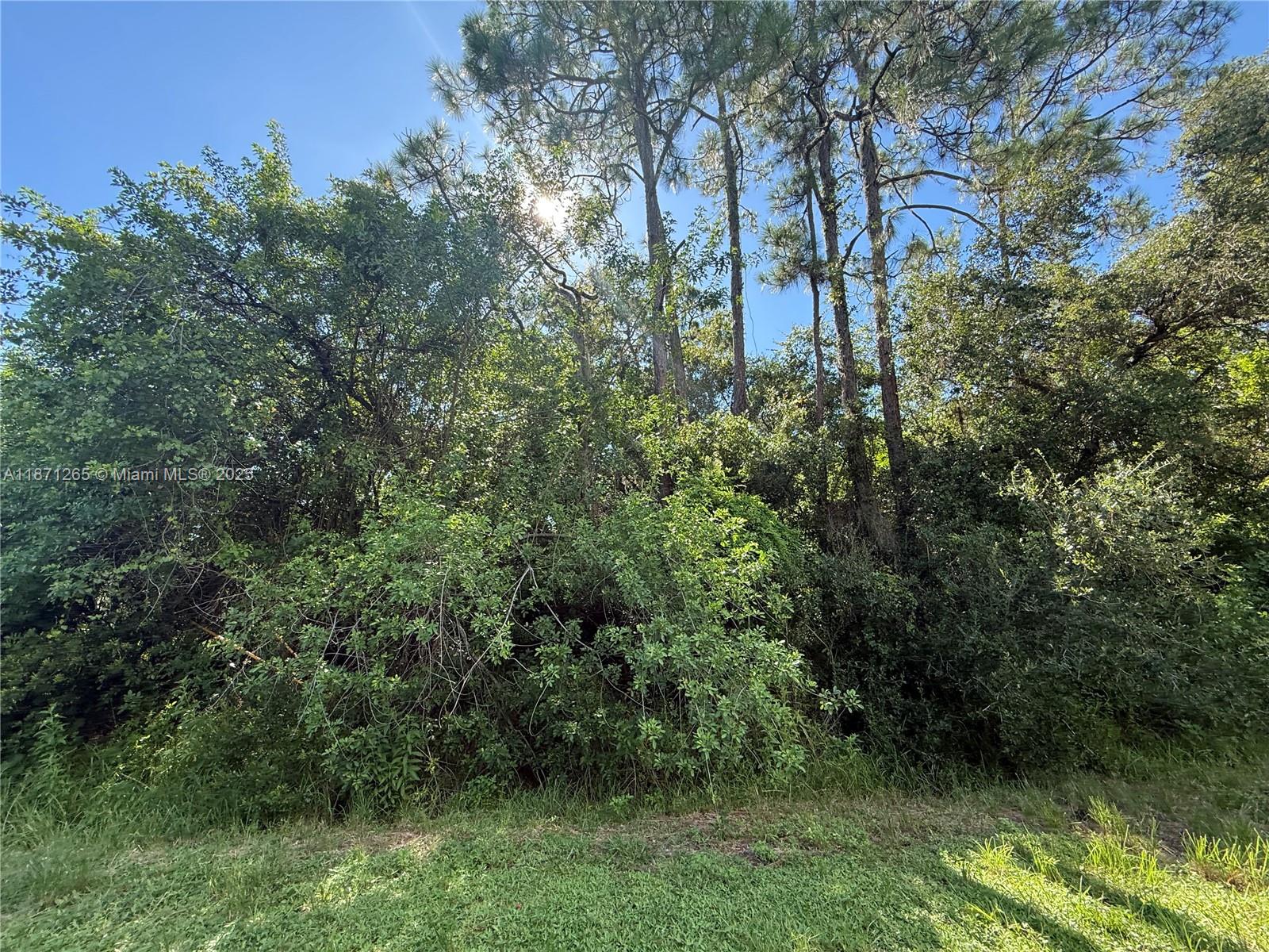 1.25 ACRES WELL LOCATED AT THE NORTH OF MONTURA RANCH ESTATES! BALD CYPRESS & ZAMBRIA HIGH & DRY LOT! PRICE TO SELL FAST!! BEST OPTION IN THE MARKET! NO WETLAND! CLEAN TITLE!! GREAT INVESTMENT OPPORTUNITY! YOU CAN BUILD YOUR DREAM HOUSE OR INSTALL YOUR MOBILE HOME ENDLESS POSSIBILITIES!!! YOU CAN HAVE YOUR WEEKEND GETAWAY FROM THE CITY, JUST 65 MILES FROM WESTON, 90 MILES FROM MIAMI, YOU CAN HAVE YOUR FARM ANIMALS AND ENJOY THE CAMP STYLE OF MONTURA RANCH ESTATE YOU CAN GO DIRECTLY TO THE PROPERTY AND CALL ME OR TEXT ME IF YOU NEED ANY EXTRA INFORMATION