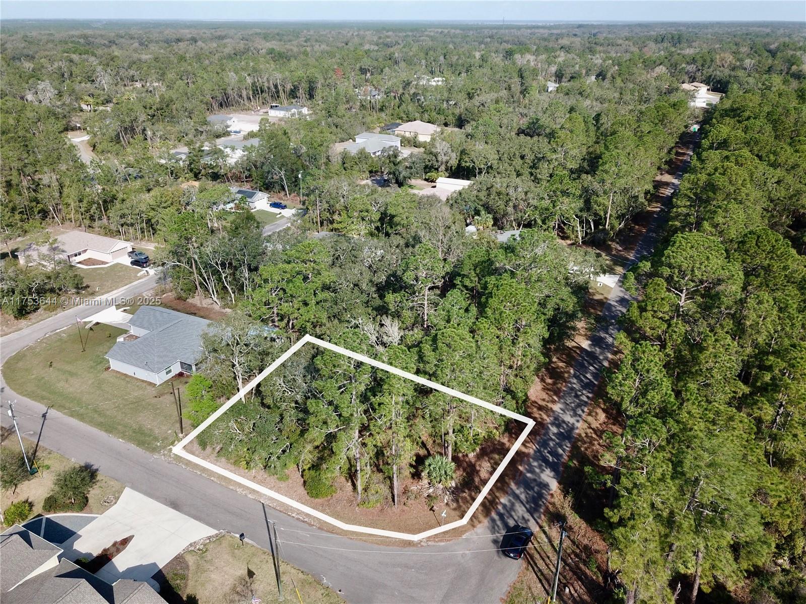 Imagine owning a 0.40-acre lot in Marion County, FL, perfectly situated near the Ocala National Forest. This spot is a dream for nature lovers, offering endless opportunities for hiking, fishing, and camping right in your backyard. Property is zoned R-3, which means you have the flexibility to build a single-family home, duplex, or even a small multi-family residence. Whether you're thinking of a home for yourself or exploring rental income possibilities, this zoning opens up a world of options. A short drive takes you to Lake Weir, known for its boating & fishing. the vibrant city of Ocala is nearby, offering shopping, dining, and all the amenities you might need. no HOA! Land in this area is in high demand, thanks to its prime location and future growth potential.